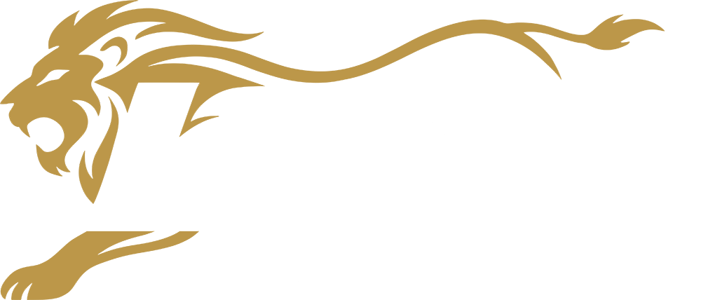 Litez Express